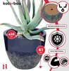 A dark blue ceramic pot with a textured gray base, containing a large aloe vera plant. Various informational icons and text are overlaid on the image. Náhled obrázku produktu
