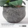 HOMESCAPES Künstliche weiße Phalaenopsis-Orchidee im grauen Produktbild-Vorschau 4