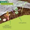Seedlings growing under a perforated plastic film in soil. Produktbild-Vorschau