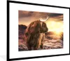 MuchoWow® Gerahmtes Poster Schottischer Highlander - Kuh - Produktbild-Vorschau 1
