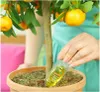Dünger Citrus - 30 ml - Flüssig - Fördert Wurzelwachstum - Produktbild-Vorschau 8