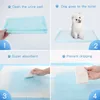 A four-panel instructional image showing how to use dog training pads. Produktbild-Vorschau