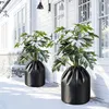 Protection hivernale pour palmiers Vigevee, lot de 2, 70x65 Voir les images du produit 1