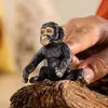 schleich WILD LIFE 14884, 3 rok / roky, Jungle, Wild Náhľad obrázku produktu 4