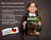 Zeugnismappe, Dokumentenmappe, Ordner A4, T-Rex Produktbild-Vorschau 5