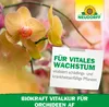 Neudorff Neudorff BioKraft Vitalkur für Orchideen 500 ml Produktbild-Vorschau 6