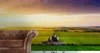 Muralo XXL Selbstklebende FOTOTAPETE FELD Gruen Landschaft Produktbild-Vorschau 3