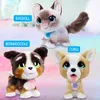FurReal Newborns Accessoires interactifs pour chiens chiots Voir les images du produit 13