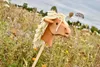 Hobby Horse Steckenpferd "Haflinger" ohne Rollen Produktbild-Vorschau 1