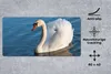 MuchoWow® Schreibtischunterlage Schwan - Wasser - Vogel - Produktbild-Vorschau 2