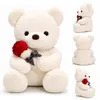 wiztex Teddybär Kuscheltier – 23 cm Bezauberndes Produktbild-Vorschau 3