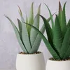 Künstliche Aloe-Pflanze im Blumentopf MONDRAGO, 29 cm Produktbild-Vorschau 10