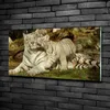 Tulup® Glas-Bild - 100x50 -Wandkunst - Wandbild hinter Produktbild-Vorschau 2