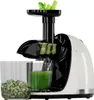 KitchenBrothers Slow Juicer - Entsafter - Obst- und Produktbild-Vorschau 1