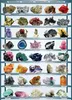 1000 Teile Puzzle - Puzzle - Schätze der Erde - Mineralien Produktbild-Vorschau 2