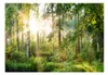Basera Selbstklebende Fototapete Waldmotiv c-C-0032-a-b, Produktbild-Vorschau 2
