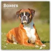 Boxers - Boxer 2027 - 16-Monatskalender Produktbild-Vorschau 1
