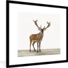 MuchoWow® Gerahmtes Poster Hirsche - Tiere - Geweih - Produktbild-Vorschau 1