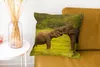 MuchoWow® Zierkissen Sofakissen Wohnzimmer Dekokissen 45x45 Produktbild-Vorschau 6