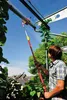 WOLF-GARTEN Winkelbesen BW 25 M Produktbild-Vorschau 4
