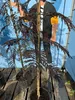 A young tree with dark red leaves is planted in a pot on a wooden deck, with a stylized graphic of a person in the background. Produktbild-Vorschau