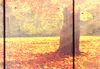 Immagine acustica foresta aspetto legno 200x100 cm immagini Anteprima dell’immagine prodotto 3