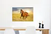 MuchoWow® Poster Pferd - Sonne - Gras - Tier 60x40 cm - Produktbild-Vorschau 5