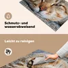 KitchenYeah© Herdabdeckplatte Katze - Grau - Makro , Produktbild-Vorschau 2