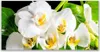 Tulup Leinwand-Bilder 140x70 Wandbild Canvas Kunstdruck Produktbild-Vorschau 1