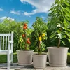 Plastard Blumentopf Ø 54 cm mit Untersetzer rund – Produktbild-Vorschau 5