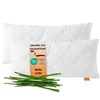 Two white pillows are shown on a white background, with a tag and some chives in front of them. Produktbild-Vorschau