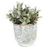 Clayre & Eef Blumentopf Ø 15x14 cm Grün Beige Keramik Produktbild-Vorschau 2