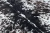 A close-up view of a cowhide rug with a mottled pattern of white, brown, and black. Voir les images du produit