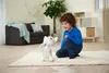 Simba Dickie Dickie ChiChi Love Happy Husky 105890050 Voir les images du produit 12