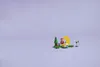 LEGO Animal Crossing Observación de estrellas con Celeste Vista previa de la imagen del producto 38