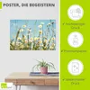 ARTland Poster Margeriten vor Sommer Himmel Größe: 60x40 cm Produktbild-Vorschau 2