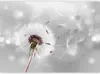 Vlies Fototapete - Grasping the Invisible 150x105 cm Blumen Produktbild-Vorschau 5
