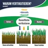 MASKO® Elektro Vertikutierer 2in1 Rasenlüfter 1800W, 40cm Produktbild-Vorschau 9