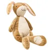 A plush toy rabbit sitting down, isolated on a white background. Náhled obrázku produktu
