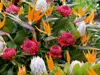 Calvendo Paradiesvogelblumen - Zuckerbüsche (Protea) 1000 Produktbild-Vorschau 2
