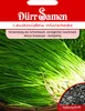 Lauchzwiebel Winterhecke | Lauchzwiebelsamen von Dürr Samen Produktbild-Vorschau 3