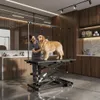 groomingtafel trimmertafel veterinaire drie riemen op Productafbeelding-voorbeeld 11