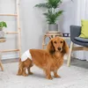 Couches pour chiennes Voir les images du produit 11