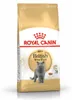 Royal Canin British Shorthair Adult, Dorosły, Brytyjski Podgląd zdjęcia produktu 10