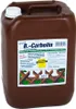 B.-Carbolin Holzanstrich 10 l Kst.-Kan. Produktbild-Vorschau 1