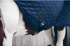 Kentucky Walker 160g Teppich Blau 140 cm Blau 140 cm Produktbild-Vorschau 3
