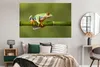 MuchoWow® Poster Rotäugiger Quecksilberfrosch auf Bambus Produktbild-Vorschau 4