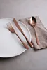 A white plate with copper cutlery and a napkin on a gray surface. Podgląd zdjęcia produktu