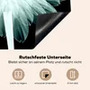 KitchenYeah© Herdabdeckplatte Röntgenbild einer Produktbild-Vorschau 5