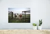 MuchoWow® Poster Kuh - Stacheldraht - Gras - Tiere 30x20 cm Produktbild-Vorschau 5